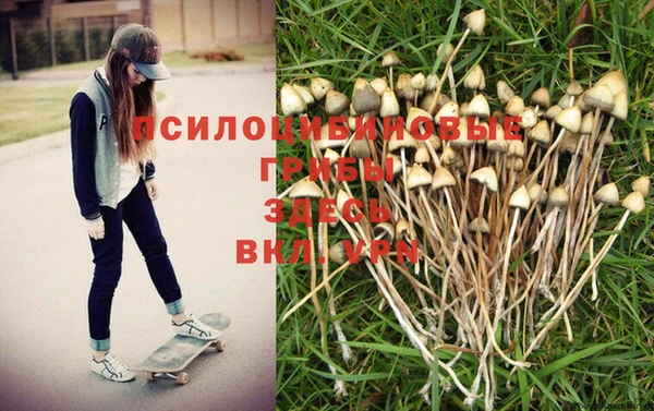 MDMA Premium VHQ Карпинск
