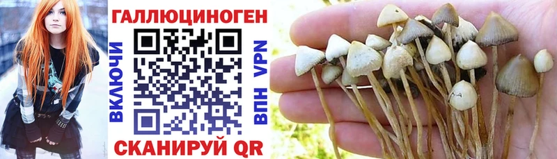 Псилоцибиновые грибы GOLDEN TEACHER  Купить закладки  Ейск 